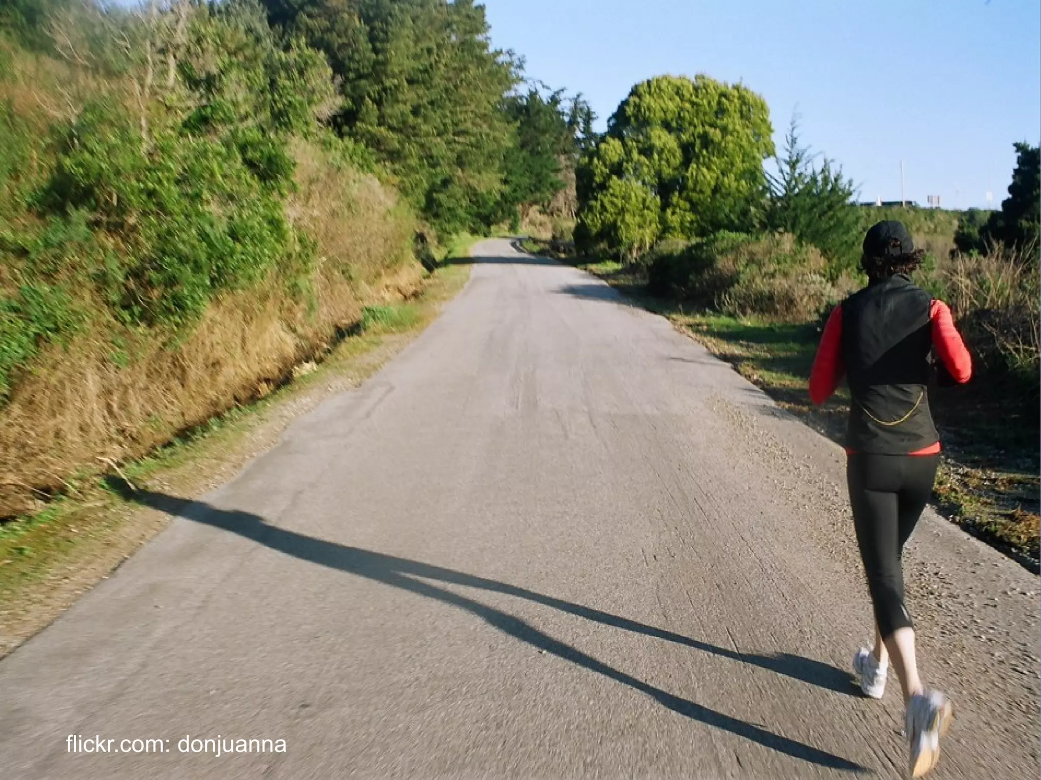 flickr.com: donjuanna
 