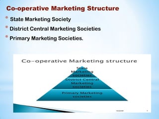 Co-operative Marketing Structure
* State Marketing Society
* District Central Marketing Societies
* Primary Marketing Societies.
 