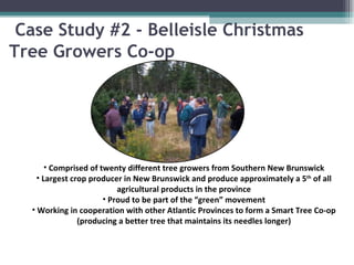 Case Study #2 - Belleisle Christmas Tree Growers Co-op Comprised of twenty different tree growers from Southern New Brunswick Largest crop producer in New Brunswick and produce approximately a 5 th  of all agricultural products in the province Proud to be part of the “green” movement Working in cooperation with other Atlantic Provinces to form a Smart Tree Co-op (producing a better tree that maintains its needles longer) 