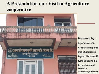 A Presentation on : Visit to Agriculture
cooperative
Prepared by-
Puja Tandan-90
Kantilata Thapa-55
Dija Bhandari-40
Jayanti Gautam-50
Jyoti Neupane-51
Agriculture and
Forestry
university,Chitwan
 
