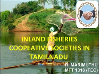 INLAND FISHERIES
COOPEATIVE SOCIETIES IN
TAMILNADU
R. MARIMUTHU
MFT 1318 (FEC)
 