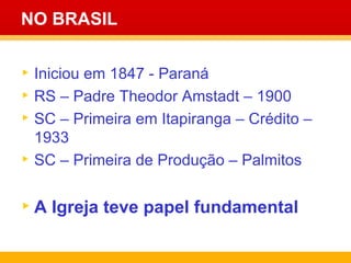 NO BRASIL Iniciou em 1847 - Paraná RS – Padre Theodor Amstadt – 1900 SC – Primeira em Itapiranga – Crédito – 1933 SC – Primeira de Produção – Palmitos A Igreja teve papel fundamental 