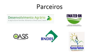 Parceiros
 