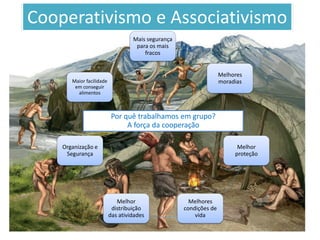 Cooperativismo e Associativismo
Mais segurança
para os mais
fracos
Melhores
moradias
Melhor
proteção
Melhores
condições de
vida
Melhor
distribuição
das atividades
Organização e
Segurança
Maior facilidade
em conseguir
alimentos
Por quê trabalhamos em grupo?
A força da cooperação
 