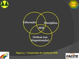 SHENG
SER
Educação Disciplina
Ordem (ou
Organização)
Figura 3 – Composição do Ambiente SER
 