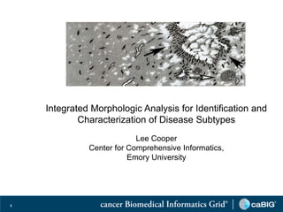 Integrated Morphologic Analysis for Identification and
            Characterization of Disease Subtypes
                           Lee Cooper
              Center for Comprehensive Informatics,
                         Emory University




1
 
