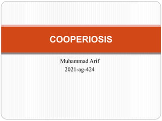 Muhammad Arif
2021-ag-424
COOPERIOSIS
 