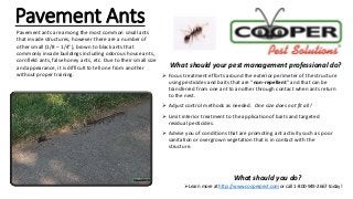  Focus treatment efforts around the exterior perimeter of the structure
using pesticides and baits that are “non-repellent” and that can be
transferred from one ant to another through contact when ants return
to the nest.
 Adjust control methods as needed. One size does not fit all!
 Limit interior treatment to the application of baits and targeted
residual pesticides.
 Advise you of conditions that are promoting ant activity such as poor
sanitation or overgrown vegetation that is in contact with the
structure.
What should you do?
Learn more at http://www.cooperpest.com or call 1-800-949-2667 today!
Pavement Ants
What should your pest management professional do?
Pavement ants are among the most common small ants
that invade structures, however there are a number of
other small (1/8 – 1/4"), brown to black ants that
commonly invade buildings including odorous house ants,
cornfield ants, false honey ants, etc. Due to their small size
and appearance, it is difficult to tell one from another
without proper training.
 