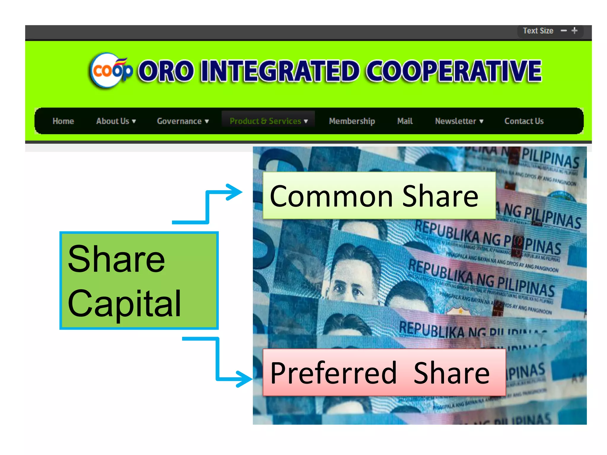 Common Share

Share
Capital
Preferred Share

 