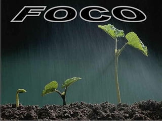 FOCO 