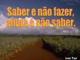 Saber e não fazer, ainda é não saber. Lao Tse  