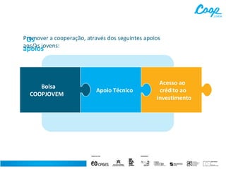 Promover a cooperação, através dos seguintes apoios
Os
aos/às jovens:

apoios

Bolsa
COOPJOVEM

Apoio Técnico

Acesso ao
crédito ao
investimento

 