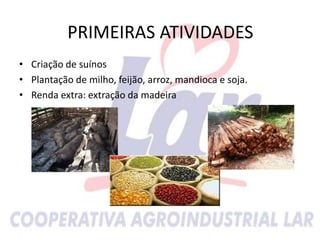 • Criação de suínos
• Plantação de milho, feijão, arroz, mandioca e soja.
• Renda extra: extração da madeira
PRIMEIRAS ATIVIDADES
 