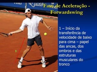 1 – Início da transferência de velocidade de baixo para cima – papel das ancas, dos ombros e das estruturas musculares do tronco Fase de Aceleração - Forwardswing 1 