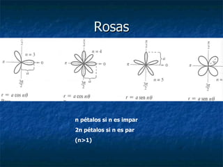 Rosas n pétalos si n es impar 2n pétalos si n es par (n>1) 