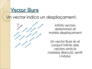Vector lliure Un vector indica un desplaçament. Infinits vectors determinen el mateix desplaçament Un vector lliure és el conjunt infinits dels vectors amb la mateixa direcció, sentit i mòdul. v 