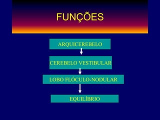 FUNÇÕES
ARQUICEREBELO
CEREBELO VESTIBULAR
LOBO FLÓCULO-NODULAR
EQUILÍBRIO
 