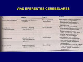 VIAS EFERENTES CEREBELARES
 