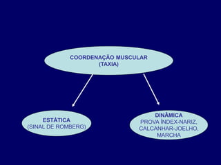 COORDENAÇÃO MUSCULAR
(TAXIA)
ESTÁTICA
(SINAL DE ROMBERG)
DINÂMICA
PROVA ÍNDEX-NARIZ,
CALCANHAR-JOELHO,
MARCHA
 