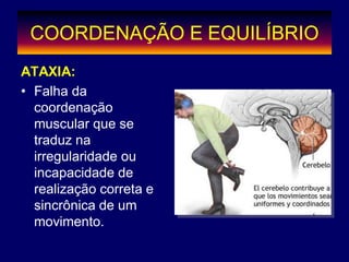 COORDENAÇÃO E EQUILÍBRIO
ATAXIA:
• Falha da
coordenação
muscular que se
traduz na
irregularidade ou
incapacidade de
realização correta e
sincrônica de um
movimento.
 