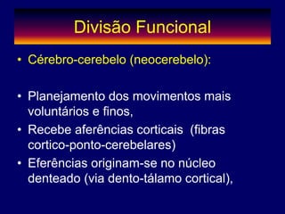 Divisão Funcional
• Cérebro-cerebelo (neocerebelo):
• Planejamento dos movimentos mais
voluntários e finos,
• Recebe aferências corticais (fibras
cortico-ponto-cerebelares)
• Eferências originam-se no núcleo
denteado (via dento-tálamo cortical),
 