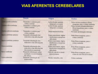 VIAS AFERENTES CEREBELARES
 
