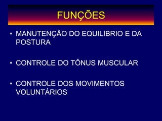 FUNÇÕES
• MANUTENÇÃO DO EQUILIBRIO E DA
POSTURA
• CONTROLE DO TÔNUS MUSCULAR
• CONTROLE DOS MOVIMENTOS
VOLUNTÁRIOS
 