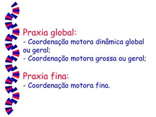 Praxia global: - Coordenação motora dinâmica global ou geral; - Coordenação motora grossa ou geral; Praxia fina: - Coordenação motora fina. 
