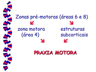 Zonas pré-motoras (áreas 6 e 8)     zona motora  estruturas    (área 4)  subcorticais        PRAXIA MOTORA 
