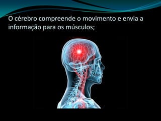 O cérebro compreende o movimento e envia a
informação para os músculos;
 