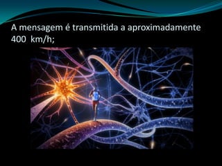 A mensagem é transmitida a aproximadamente
400 km/h;
 