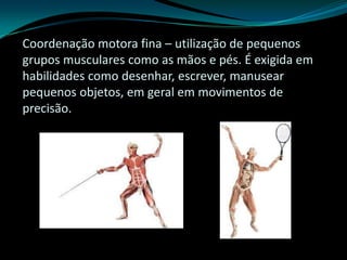 Coordenação motora fina – utilização de pequenos
grupos musculares como as mãos e pés. É exigida em
habilidades como desenhar, escrever, manusear
pequenos objetos, em geral em movimentos de
precisão.
 