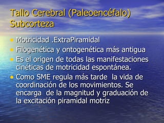 Tallo Cerebral (Paleoencéfalo)
Subcorteza
• Motricidad .ExtraPiramidal
• Filogenética y ontogenética más antigua
• Es el origen de todas las manifestaciones
  cinéticas de motricidad espontánea.
• Como SME regula más tarde la vida de
  coordinación de los movimientos. Se
  encarga de la magnitud y graduación de
  la excitación piramidal motriz
 