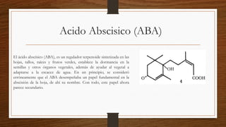 Acido Abscisico (ABA)
El ácido abscísico (ABA), es un regulador terpenoide sintetizada en las
hojas, tallos, raíces y frutos verdes, establece la dormancia en la
semillas y otros órganos vegetales, además de ayudar al vegetal a
adaptarse a la escacez de agua. En un principio, se consideró
erróneamente que el ABA desempeñaba un papel fundamental en la
abscisión de la hoja, de ahí su nombre. Con todo, este papel ahora
parece secundario.
 