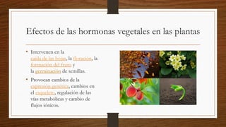 Efectos de las hormonas vegetales en las plantas
• Intervenen en la
caída de las hojas, la floración, la
formación del fruto y
la germinación de semillas.
• Provocan cambios de la
expresión genética, cambios en
el esqueleto, regulación de las
vías metabólicas y cambio de
flujos iónicos.
 