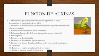 FUNCION DE AUXINAS
• 1. Dominancia apical(mayor crecimiento en la punta de la hoja)
2. Aumentar el crecimiento de los tallos
3. Promover la división celular en el cambium vascular y diferenciación del
xilema secundario
4. Estimular la formación de raíces adventicias
5. Estimular el desarrollo de frutos (partenocárpicos en ocasiones)
6. Fototropismo
7. Promover la división celular
8. Promover la floración en algunas especies
9. Promover la síntesis de etileno (influye en los procesos de maduración
de los frutos)
10. Favorece el cuaje y la maduración de los frutos
11. Inhibe la abcisión ó caida de los frutos
 