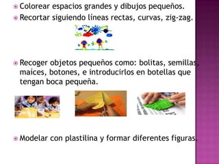 Colorear espacios grandes y dibujos pequeños.Recortar siguiendo líneas rectas, curvas, zig-zag.Recoger objetos pequeños como: bolitas, semillas, maíces, botones, e introducirlos en botellas que tengan boca pequeña.Modelar con plastilina y formar diferentes figuras.