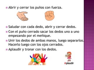 Abrir y cerrar los puños con fuerza.Saludar con cada dedo, abrir y cerrar dedos.Con el puño cerrado sacar los dedos uno a uno empezando por el meñique.Unir los dedos de ambas manos, luego separarlos. Hacerlo luego con los ojos cerrados.Aplaudir y tronar con los dedos.