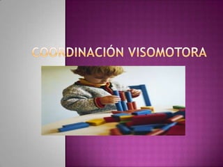 Coordinación Visomotora