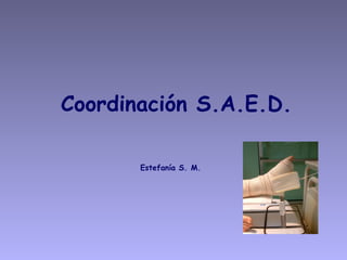 Coordinación S.A.E.D. Estefanía S. M. 