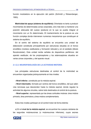 PROCESOS COORDINATIVOS, OPTIMIZACIÓN DE LA TÉCNICA                               38

función moduladora en la ejecución del patrón (Schmidt y Weisendanger,
1993).


  Motricidad de apoyo (sistema de equilibrio): Orientada no tanto a producir
movimientos de determinadas zonas corporales, sino más bien a mantener una
posición adecuada del cuerpo (postura) en la que se pueda integrar el
movimiento con un fin determinado. El mantenimiento de la postura es una
función compleja donde intervienen numeroso mecanismos que constituyen el
sistema de equilibrio.
  En el centro del sistema de equilibrio se encuentra una unidad de
elaboración constituida principalmente por estructuras situadas en el tronco
encefálico (núcleos vestibulares y formación reticular) y en el cerebelo (lóbulo
floculonodular). Esta unidad recibe señales de dispositivos periféricos: del
aparato vestibular, de los propioceptores y los esteroceptores situados en
varias zonas corporales, y del aparato visual.


2.1.2.2. NEUROFISIOLOGÍA DE LA ACTIVIDAD MOTORA


  Las principales estructuras destinadas al control de la motricidad se
encuentran organizadas jerárquicamente en tres niveles:


  - Nivel inferior, constituido por la médula espinal.
  - Nivel intermedio, formado por centros del tronco encefálico, del que salen
vías nerviosas que descienden hasta la médula espinal, donde regulan la
actividad de algunos circuitos, sobre todo destinados al control de la postura.
  - Nivel superior, representado por las áreas corticales motoras: área motora
primaria, área premotora y área motora complementaria.


  Estos tres niveles participan en el control motor de forma distinta:


  a) En el nivel de la médula espinal, se encuentran los cuerpos celulares de
las segundas motoneuronas (o motoneuronas inferiores), cuyos axones

                                                           http://www.mastercede.com
 