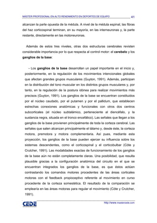 MÁSTER PROFESIONAL EN ALTO RENDIMIENTO EN DEPORTES DE EQUIPO                    41

alcanzan la parte opuesta de la médula. A nivel de la médula espinal, las fibras
del haz corticospinal terminan, en su mayoría, en las interneuronas y, la parte
restante, directamente en las motoneuronas.


  Además de estos tres niveles, otras dos estructuras cerebrales revisten
considerable importancia por lo que respecta al control motor: el cerebelo y los
ganglios de la base:


    - Los ganglios de la base desarrollan un papel importante en el inicio y,
 posteriormente, en la regulación de los movimientos intencionales globales
 que afectan grandes grupos musculares (Guyton, 1991). Además, participan
 en la distribución del tono muscular en los distintos grupos musculares y, por
 tanto, en la regulación de la postura idónea para realizar movimientos más
 precisos (Guyton, 1991). Los ganglios de la base se encuentran constituidos
 por el núcleo caudado, por el putamen y por el pallidum, que establecen
 estrechas conexiones anatómicas y funcionales con otros dos centros
 subcorticales (el núcleo subtalámico, perteneciente al diencéfalo, y la
 sustancia negra, situada en el tronco encefálico). Las señales que llegan a los
 ganglios de la base provienen principalmente de toda la corteza cerebral. Las
 señales que salen alcanzan principalmente el tálamo y, desde éste, la corteza
 motora, premotora y motora complementaria. Así pues, mediante esta
 proyección, los ganglios de la base pueden ejercer su influencia sobre los
 sistemas descendentes, como el corticospinal y el corticobulbar (Cóte y
 Crutcher, 1991). Las modalidades exactas de funcionamiento de los ganglios
 de la base aún no están completamente claras. Una posibilidad, que resulta
 plausible gracias a la configuración anatómica del circuito en el que se
 encuentran integrados los ganglios de la base, es que éstos actúen
 contrastando los comandos motores procedentes de las áreas corticales
 motoras con el feedback propioceptivo referente al movimiento en curso
 procedente de la corteza somestética. El resultado de la comparación se
 emplearía en las áreas motoras para regular el movimiento (Cóte y Crutcher,
 1991).

                                                          http://www.mastercede.com
 