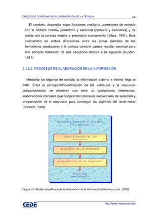 PROCESOS COORDINATIVOS, OPTIMIZACIÓN DE LA TÉCNICA                                            44

     El cerebelo desarrolla estas funciones mediante conexiones de entrada
  con la corteza motora, premotora y sensorial (primaria y asociativa) y de
  salida con la corteza motora y premotora nuevamente (Ghez, 1991). Este
  intercambio en ambas direcciones entre las zonas laterales de los
  hemisferios cerebelares y la corteza cerebral parece resultar esencial para
  una correcta transición de una secuencia motora a la siguiente (Guyton,
  1991).


2.1.2.3. PROCESOS DE ELABORACIÓN DE LA INFORMACIÓN


   Mediante los órganos de sentido, la información externa e interna llega al
SNC. Entre la percepción/identificación de los estímulos y la respuesta
comportamental, se observan una serie de operaciones                             intermedias,
elaboraciones mentales que comprenden procesos decisionales de selección y
programación de la respuesta para conseguir los objetivos del rendimiento
(Schmidt, 1988)



                             Estímulos Externos e Internos
                                     (Información)



                                  Identificación de los
                                        estímulos


                               Selección de la respuesta



                             programación de la respuesta



                                          Resultado
                                        (movimiento)



Figura 10: Modelo simplificado de la elaboración de la información (Mannino y cols., 2000).




                                                                     http://www.mastercede.com
 