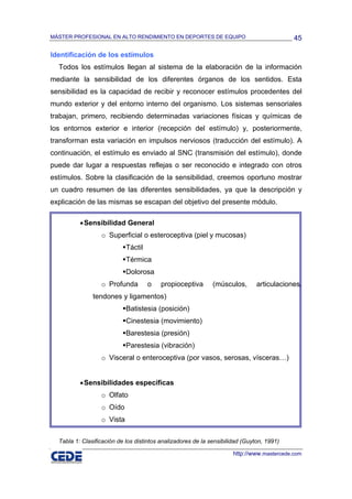 MÁSTER PROFESIONAL EN ALTO RENDIMIENTO EN DEPORTES DE EQUIPO                                45

Identificación de los estímulos
  Todos los estímulos llegan al sistema de la elaboración de la información
mediante la sensibilidad de los diferentes órganos de los sentidos. Esta
sensibilidad es la capacidad de recibir y reconocer estímulos procedentes del
mundo exterior y del entorno interno del organismo. Los sistemas sensoriales
trabajan, primero, recibiendo determinadas variaciones físicas y químicas de
los entornos exterior e interior (recepción del estímulo) y, posteriormente,
transforman esta variación en impulsos nerviosos (traducción del estímulo). A
continuación, el estímulo es enviado al SNC (transmisión del estímulo), donde
puede dar lugar a respuestas reflejas o ser reconocido e integrado con otros
estímulos. Sobre la clasificación de la sensibilidad, creemos oportuno mostrar
un cuadro resumen de las diferentes sensibilidades, ya que la descripción y
explicación de las mismas se escapan del objetivo del presente módulo.

          • Sensibilidad General
                  o Superficial o esteroceptiva (piel y mucosas)
                            Táctil
                            Térmica
                            Dolorosa
                  o Profunda         o   propioceptiva        (músculos,       articulaciones,
               tendones y ligamentos)
                            Batistesia (posición)
                            Cinestesia (movimiento)
                            Barestesia (presión)
                            Parestesia (vibración)
                  o Visceral o enteroceptiva (por vasos, serosas, vísceras…)


          • Sensibilidades específicas
                  o Olfato
                  o Oído
                  o Vista


  Tabla 1: Clasificación de los distintos analizadores de la sensibilidad (Guyton, 1991)

                                                                      http://www.mastercede.com
 