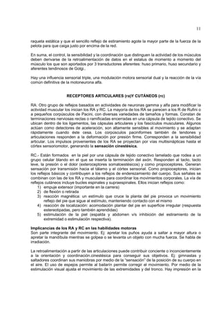 11

raqueta estática y que el sencillo reflejo de estiramiento agote la mayor parte de la fuerza de la
pelota para que caiga justo por encima de la red.

En suma, el control, la sensibilidad y la coordinación que distinguen la actividad de los músculos
deben derivarse de la retroalimentación de datos en el estatus de momento a momento del
músculo los que son aportados por 3 transductores aferentes: huso primario, huso secundario y
aferentes tendinosos de Golgi..

Hay una influencia sensorial triple, una modulación motora sensorial dual y la reacción de la vía
común definitiva de la motoneurona alfa.


                    RECEPTORES ARTICULARES (ra)Y CUTÁNEOS (rc)

RA: Otro grupo de reflejos basados en actividades de neuronas gamma y alfa para modificar la
actividad muscular los inician los RA y RC. La mayoría de los RA se parecen a los R de Rufini o
a pequeños corpúsculos de Pacini, con diversas variedades de tamaños y formas. Constan de
terminaciones nerviosas rectas o ramificadas encerradas en una cápsula de tejido conectivo. Se
ubican dentro de los ligamentos, las cápsulas articulares y los fascículos musculares. Algunos
actúan como detectores de aceleración, son altamente sensibles al movimiento y se adaptan
rápidamente cuando éste cesa. Los corpúsculos paciniformes también de tendones y
articulaciones responden a la deformación por presión firme. Corresponden a la sensibilidad
articular. Los impulsos provenientes de los RA se proyectan por vías multisinápticas hasta el
córtex sensoriomotor, generando la sensación cinestésica.

RC.- Están formados en la piel por una cápsula de tejido conectivo lamelado que rodea a un
grupo celular blando en el que se inserta la terminación del axón. Responden al tacto, tacto
leve, la presión o el dolor (exteroceptores somatoestésicos) y como propioceptores. Generan
sensación por transmisión hacia el tálamo y el córtex sensorial. Como propioceptores, inician
los reflejos básicos y contribuyen a los reflejos de enderezamiento del cuerpo. Sus señales se
combinan con las de los RA y musculares para coordinar los movimientos corporales. La vía de
reflejos cutáneos incluye bucles espinales y supraespinales. Ellos inician reflejos como:
    1) empuje extensor (importante en la carrera)
    2) de flexión o retirada
    3) reacción magnética: un estímulo que cruce la planta del pie provoca un movimiento
        reflejo del pie que sigue al estímulo, manteniendo contacto con el mismo
    4) reacción de localización: acomodación plantar del pie en superficie irregular (respuesta
        estereotipadas, pero también aprendidas)
    5) estimulación de la piel (espalda y abdomen v/s inhibición del estiramiento de la
        extremidad o estimulación respectiva).

Implicancias de los RA y RC en las habilidades motoras
Son parte integrante del movimiento. Ej: apretar los puños ayuda a saltar a mayor altura o
apretar la mandíbula mientras se golpea o se levanta un objeto con mucha fuerza. Se habla de
irradiación.

La retroalimentación a partir de las articulaciones puede contribuir conciente o inconcientemente
a la orientación y coordinación.cinestésica para conseguir sus objetivos. Ej: gimnastas y
saltadores coordinan sus maniobras por medio de la “sensación” de la posición de su cuerpo en
el aire. El uso de espejos permite al bailarín permite corregir el movimiento. Por medio de la
estimulación visual ajusta el movimiento de las extremidades y del tronco. Hay impresión en la
 