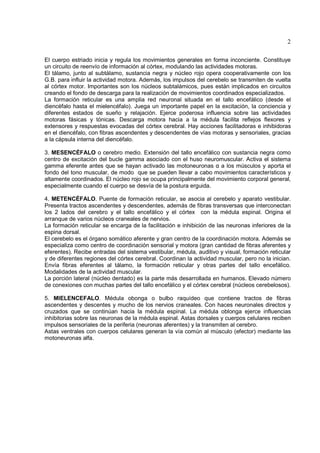 2

El cuerpo estriado inicia y regula los movimientos generales en forma inconciente. Constituye
un circuito de reenvío de información al córtex, modulando las actividades motoras.
El tálamo, junto al subtálamo, sustancia negra y núcleo rojo opera cooperativamente con los
G.B. para influir la actividad motora. Además, los impulsos del cerebelo se transmiten de vuelta
al córtex motor. Importantes son los núcleos subtalámicos, pues están implicados en circuitos
creando el fondo de descarga para la realización de movimientos coordinados especializados.
La formación reticular es una amplia red neuronal situada en el tallo encefálico (desde el
diencéfalo hasta el mielencéfalo). Juega un importante papel en la excitación, la conciencia y
diferentes estados de sueño y relajación. Ejerce poderosa influencia sobre las actividades
motoras fásicas y tónicas. Descarga motora hacia a la médula facilita reflejos flexores y
extensores y respuestas evocadas del córtex cerebral. Hay acciones facilitadoras e inhibidoras
en el diencéfalo, con fibras ascendentes y descendentes de vías motoras y sensoriales, gracias
a la cápsula interna del diencéfalo.

3. MESENCÉFALO o cerebro medio. Extensión del tallo encefálico con sustancia negra como
centro de excitación del bucle gamma asociado con el huso neuromuscular. Activa el sistema
gamma eferente antes que se hayan activado las motoneuronas α a los músculos y aporta el
fondo del tono muscular, de modo que se pueden llevar a cabo movimientos característicos y
altamente coordinados. El núcleo rojo se ocupa principalmente del movimiento corporal general,
especialmente cuando el cuerpo se desvía de la postura erguida.

4. METENCÉFALO. Puente de formación reticular, se asocia al cerebelo y aparato vestibular.
Presenta tractos ascendentes y descendentes, además de fibras transversas que interconectan
los 2 lados del cerebro y el tallo encefálico y el córtex con la médula espinal. Origina el
arranque de varios núcleos craneales de nervios.
La formación reticular se encarga de la facilitación e inhibición de las neuronas inferiores de la
espina dorsal.
El cerebelo es el órgano somático aferente y gran centro de la coordinación motora. Además se
especializa como centro de coordinación sensorial y motora (gran cantidad de fibras aferentes y
eferentes). Recibe entradas del sistema vestibular, médula, auditivo y visual, formación reticular
y de diferentes regiones del córtex cerebral. Coordinan la actividad muscular, pero no la inician.
Envía fibras eferentes al tálamo, la formación reticular y otras partes del tallo encefálico.
Modalidades de la actividad muscular.
La porción lateral (núcleo dentado) es la parte más desarrollada en humanos. Elevado número
de conexiones con muchas partes del tallo encefálico y el córtex cerebral (núcleos cerebelosos).

5. MIELENCEFALO. Médula obonga o bulbo raquídeo que contiene tractos de fibras
ascendentes y descentes y mucho de los nervios craneales. Con haces neuronales directos y
cruzados que se continúan hacia la médula espinal. La médula oblonga ejerce influencias
inhibitorias sobre las neuronas de la médula espinal. Astas dorsales y cuerpos celulares reciben
impulsos sensoriales de la periferia (neuronas aferentes) y la transmiten al cerebro.
Astas ventrales con cuerpos celulares generan la vía común al músculo (efector) mediante las
motoneuronas alfa.
 