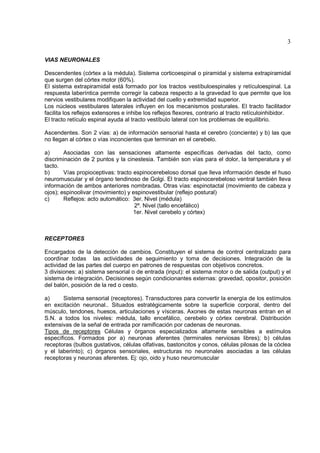 3

VIAS NEURONALES

Descendentes (córtex a la médula). Sistema corticoespinal o piramidal y sistema extrapiramidal
que surgen del córtex motor (60%).
El sistema extrapiramidal está formado por los tractos vestíbuloespinales y retículoespinal. La
respuesta laberíntica permite corregir la cabeza respecto a la gravedad lo que permite que los
nervios vestibulares modifiquen la actividad del cuello y extremidad superior.
Los núcleos vestibulares laterales influyen en los mecanismos posturales. El tracto facilitador
facilita los reflejos extensores e inhibe los reflejos flexores, contrario al tracto retículoinhibidor.
El tracto retículo espinal ayuda al tracto vestíbulo lateral con los problemas de equilibrio.

Ascendentes. Son 2 vías: a) de información sensorial hasta el cerebro (conciente) y b) las que
no llegan al córtex o vías inconcientes que terminan en el cerebelo.

a)      Asociadas con las sensaciones altamente específicas derivadas del tacto, como
discriminación de 2 puntos y la cinestesia. También son vías para el dolor, la temperatura y el
tacto.
b)      Vías propioceptivas: tracto espinocerebeloso dorsal que lleva información desde el huso
neuromuscular y el órgano tendinoso de Golgi. El tracto espinocerebeloso ventral también lleva
información de ambos anteriores nombradas. Otras vías: espinotactal (movimiento de cabeza y
ojos); espinoolivar (movimiento) y espinovestibular (reflejo postural)
c)      Reflejos: acto automático: 3er. Nivel (médula)
                                    2º. Nivel (tallo encefálico)
                                    1er. Nivel cerebelo y córtex)



RECEPTORES

Encargados de la detección de cambios. Constituyen el sistema de control centralizado para
coordinar todas las actividades de seguimiento y toma de decisiones. Integración de la
actividad de las partes del cuerpo en patrones de respuestas con objetivos concretos.
3 divisiones: a) sistema sensorial o de entrada (input): el sistema motor o de salida (output) y el
sistema de integración. Decisiones según condicionantes externas: gravedad, opositor, posición
del balón, posición de la red o cesto.

a)     Sistema sensorial (receptores). Transductores para convertir la energía de los estímulos
en excitación neuronal.. Situados estratégicamente sobre la superficie corporal, dentro del
músculo, tendones, huesos, articulaciones y vísceras. Axones de estas neuronas entran en el
S.N. a todos los niveles: médula, tallo encefálico, cerebelo y córtex cerebral. Distribución
extensivas de la señal de entrada por ramificación por cadenas de neuronas.
Tipos de receptores Células y órganos especializados altamente sensibles a estímulos
específicos. Formados por a) neuronas aferentes (terminales nerviosas libres); b) células
receptoras (bulbos gustativos, células olfativas, bastoncitos y conos, células pilosas de la cóclea
y el laberinto); c) órganos sensoriales, estructuras no neuronales asociadas a las células
receptoras y neuronas aferentes. Ej: ojo, oido y huso neuromuscular
 