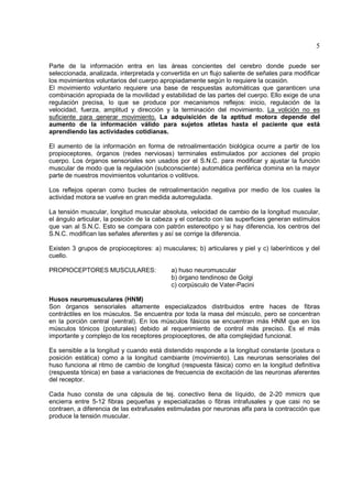 5

Parte de la información entra en las áreas concientes del cerebro donde puede ser
seleccionada, analizada, interpretada y convertida en un flujo saliente de señales para modificar
los movimientos voluntarios del cuerpo apropiadamente según lo requiere la ocasión.
El movimiento voluntario requiere una base de respuestas automáticas que garanticen una
combinación apropiada de la movilidad y estabilidad de las partes del cuerpo. Ello exige de una
regulación precisa, lo que se produce por mecanismos reflejos: inicio, regulación de la
velocidad, fuerza, amplitud y dirección y la terminación del movimiento. La volición no es
suficiente para generar movimiento. La adquisición de la aptitud motora depende del
aumento de la información válido para sujetos atletas hasta el paciente que está
aprendiendo las actividades cotidianas.

El aumento de la información en forma de retroalimentación biológica ocurre a partir de los
propioceptores, órganos (redes nerviosas) terminales estimulados por acciones del propio
cuerpo. Los órganos sensoriales son usados por el S.N.C. para modificar y ajustar la función
muscular de modo que la regulación (subconsciente) automática periférica domina en la mayor
parte de nuestros movimientos voluntarios o volitivos.

Los reflejos operan como bucles de retroalimentación negativa por medio de los cuales la
actividad motora se vuelve en gran medida autorregulada.

La tensión muscular, longitud muscular absoluta, velocidad de cambio de la longitud muscular,
el ángulo articular, la posición de la cabeza y el contacto con las superficies generan estímulos
que van al S.N.C. Esto se compara con patrón estereotipo y si hay diferencia, los centros del
S.N.C. modifican las señales aferentes y así se corrige la diferencia.

Existen 3 grupos de propioceptores: a) musculares; b) articulares y piel y c) laberínticos y del
cuello.

PROPIOCEPTORES MUSCULARES:                 a) huso neuromuscular
                                           b) órgano tendinoso de Golgi
                                           c) corpúsculo de Vater-Pacini

Husos neuromusculares (HNM)
Son órganos sensoriales altamente especializados distribuidos entre haces de fibras
contráctiles en los músculos. Se encuentra por toda la masa del músculo, pero se concentran
en la porción central (ventral). En los músculos fásicos se encuentran más HNM que en los
músculos tónicos (posturales) debido al requerimiento de control más preciso. Es el más
importante y complejo de los receptores propioceptores, de alta complejidad funcional.

Es sensible a la longitud y cuando está distendido responde a la longitud constante (postura o
posición estática) como a la longitud cambiante (movimiento). Las neuronas sensoriales del
huso funciona al ritmo de cambio de longitud (respuesta fásica) como en la longitud definitiva
(respuesta tónica) en base a variaciones de frecuencia de excitación de las neuronas aferentes
del receptor.

Cada huso consta de una cápsula de tej. conectivo llena de líquido, de 2-20 mmicrs que
encierra entre 5-12 fibras pequeñas y especializadas o fibras intrafusales y que casi no se
contraen, a diferencia de las extrafusales estimuladas por neuronas alfa para la contracción que
produce la tensión muscular.
 