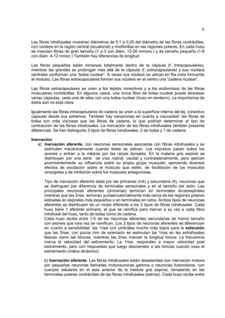 6

Las fibras intrafusales muestran diámetros de 0,1 a 0,25 del diámetro de las fibras contráctiles,
con núcleos en la región central (ecuatorial) y miofibrillas en las regiones polares. En cada huso
se mezclan fibras de gran tamaño (1 a 3 con diám. 12-26 mmicrs.) y de tamaño pequeño (1-8
con diám. 4-12 mmicr.) También hay diferencias de longitud.

Las fibras pequeñas están inmersas totalmente dentro de la cápsula (f. Intracapsulares),
mientras las grandes se prolongan más allá de la cápsula (f. extracapsulares) y sus núcleos
centrales conforman una “bolsa nuclear”. A veces sus núcleos se ubican en fila india formando
el miotubo. Las fibras extracapsulares forman sus núcleos en el centro una “cadena nuclear”.

Las fibras extracapsulares se unen a los tejidos conectivos y a los endomisios de las fibras
musculares contráctiles. En algunos casos, una única fibra de bolsa nuclear puede atravesar
varias cápsulas, cada una de ellas con una bolsa nuclear (huso en tandenn). La importancia de
éstos aún no está clara.

Igualmente las fibras intracapsulares de cadena se unen a la superficie interna del tej. conectivo
capsular desde sus extremos. También hay variaciones en cuanto a viscosidad: las fibras de
bolsa son más viscosas que las fibras de cadena, lo que podrían determinar el tipo de
contracción de las fibras intrafusales. La inervación de las fibras intrafusales también presenta
diferencias. Se han distinguido 3 tipos de fibras intrafusales: 2 de bolsa y 1 de cadena.

Inervación:
   a) Inervación aferente, con neuronas sensoriales asociadas con fibras intrafusales y se
       estimulan mecánicamente cuando éstas se estiran. Los impulsos pasan sobre los
       axones y entran a la médula por las raíces dorsales. En la materia gris espinal se
       distribuyen por una serie de vías rostral, caudal y contralateralmente, pero ejercen
       prominentemente su influencia sobre su propio grupo muscular, ejerciendo diversos
       efectos de excitación sobre el músculo que estén, de facilitación de los músculos
       sinergistas y de inhibición sobre los músculos antagonistas.

       Tipo de inervación aferente dada por las primarias (I-A) y secundaria (II), neuronas que
       se distinguen por diferencia de terminales sensoriales y en el tamaño del axón. Las
       principales neuronas aferentes (primarias) terminan en terminales ánuloespirales
       mientras que las 2rias. terminan yuxtaecuatorialmente más cerca de las regiones polares
       estriadas en espirales más pequeños o en terminales en ramo. Ambos tipos de neuronas
       aferentes se distribuyen de un modo diferente a los 2 tipos de fibras intrafusales. Cada
       huso tiene 1 aferente primario, el que se ramifica para inervar a su vez a cada fibra
       intrafusal del huso, tanto de bolsa como de cadena.
       Cada huso recibe entre 1-5 de las neuronas aferentes secundarias de menor tamaño
       con axones que rara vez se ramifican. Los 2 tipos de neuronas aferentes se diferencian
       en cuanto a sensibilidad: las 1rias con umbrales mucho más bajos para la extensión
       que las 2rias; con pocos mm de extensión se estimulan las 1rias en las extrafusales
       fásicas como las tónicas, mientras las 2rias marcan la longitud tónica. La frecuencia
       marca la velocidad del estiramiento. La 1rias. responden a mayor velocidad post
       estiramiento, pero con respuestas que luego descienden a las tónicas cuando cesa el
       estiramiento (índice dinámico).

       b) Inervación eferente. Las fibras intrafusales están abastecidas con inervación motora
       por pequeñas neuronas llamadas motoneuronas gamma o neuronas fusimotoras, con
       cuerpos celulares en el asta anterior de la médula gris espinal, rematando en las
       terminales polares contráctiles de las fibras intrafusales (estrías). Cada huso recibe entre
 