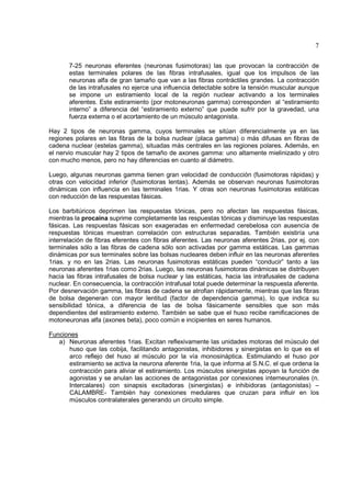 7

       7-25 neuronas eferentes (neuronas fusimotoras) las que provocan la contracción de
       estas terminales polares de las fibras intrafusales, igual que los impulsos de las
       neuronas alfa de gran tamaño que van a las fibras contráctiles grandes. La contracción
       de las intrafusales no ejerce una influencia detectable sobre la tensión muscular aunque
       se impone un estiramiento local de la región nuclear activando a los terminales
       aferentes. Este estiramiento (por motoneuronas gamma) corresponden al “estiramiento
       interno” a diferencia del “estiramiento externo” que puede sufrir por la gravedad, una
       fuerza externa o el acortamiento de un músculo antagonista.

Hay 2 tipos de neuronas gamma, cuyos terminales se sitúan diferencialmente ya en las
regiones polares en las fibras de la bolsa nuclear (placa gamma) o más difusas en fibras de
cadena nuclear (estelas gamma), situadas más centrales en las regiones polares. Además, en
el nervio muscular hay 2 tipos de tamaño de axones gamma: uno altamente mielinizado y otro
con mucho menos, pero no hay diferencias en cuanto al diámetro.

Luego, algunas neuronas gamma tienen gran velocidad de conducción (fusimotoras rápidas) y
otras con velocidad inferior (fusimotoras lentas). Además se observan neuronas fusimotoras
dinámicas con influencia en las terminales 1rias. Y otras son neuronas fusimotoras estáticas
con reducción de las respuestas fásicas.

Los barbitúricos deprimen las respuestas tónicas, pero no afectan las respuestas fásicas,
mientras la procaína suprime completamente las respuestas tónicas y disminuye las respuestas
fásicas. Las respuestas fásicas son exageradas en enfermedad cerebelosa con ausencia de
respuestas tónicas muestran correlación con estructuras separadas. También existiría una
interrelación de fibras eferentes con fibras aferentes. Las neuronas aferentes 2rias, por ej. con
terminales sólo a las fibras de cadena sólo son activadas por gamma estáticas. Las gammas
dinámicas por sus terminales sobre las bolsas nucleares deben influir en las neuronas aferentes
1rias. y no en las 2rias. Las neuronas fusimotoras estáticas pueden “conducir” tanto a las
neuronas aferentes 1rias como 2rias. Luego, las neuronas fusimotoras dinámicas se distribuyen
hacia las fibras intrafusales de bolsa nuclear y las estáticas, hacia las intrafusales de cadena
nuclear. En consecuencia, la contracción intrafusal total puede determinar la respuesta aferente.
Por desnervación gamma, las fibras de cadena se atrofian rápidamente, mientras que las fibras
de bolsa degeneran con mayor lentitud (factor de dependencia gamma), lo que indica su
sensibilidad tónica, a diferencia de las de bolsa fásicamente sensibles que son más
dependientes del estiramiento externo. También se sabe que el huso recibe ramificaciones de
motoneuronas alfa (axones beta), poco común e incipientes en seres humanos.

Funciones
   a) Neuronas aferentes 1rias. Excitan reflexivamente las unidades motoras del músculo del
      huso que las cobija, facilitando antagonistas, inhibidores y sinergistas en lo que es el
      arco reflejo del huso al músculo por la vía monosináptica. Estimulando el huso por
      estiramiento se activa la neurona aferente 1ria, la que informa al S.N.C. el que ordena la
      contracción para aliviar el estiramiento. Los músculos sinergistas apoyan la función de
      agonistas y se anulan las acciones de antagonistas por conexiones interneuronales (n.
      Intercalares) con sinapsis excitadoras (sinergistas) e inhibidoras (antagonistas) –
      CALAMBRE- También hay conexiones medulares que cruzan para influir en los
      músculos contralaterales generando un circuito simple.
 